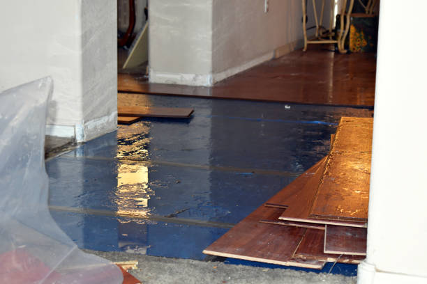 Professional Flood Damage Restoration technician working in Hamilton, MO